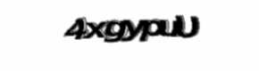 Security check image, please type the characters shown
