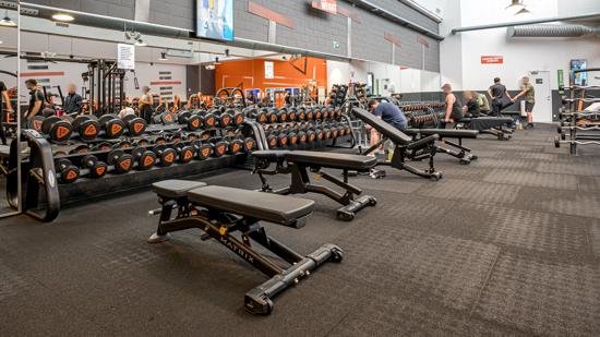 Basic-Fit Lokeren Kleine Dam