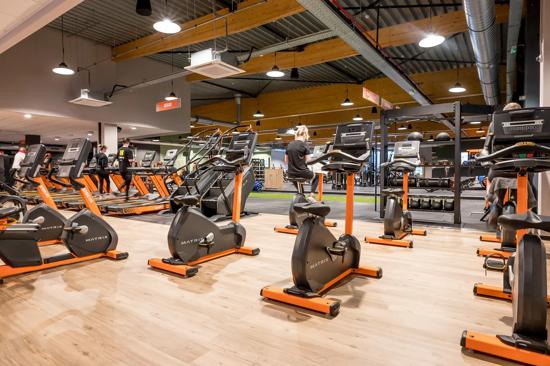 Basic-Fit Mol Rozenberg 24/7