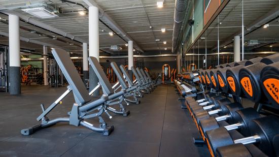 Basic-Fit Landen Hannuitsesteenweg 24/7