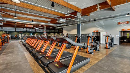 Basic-Fit Albi Francisco Goya