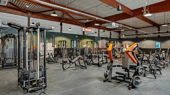 Basic-Fit Albi Francisco Goya