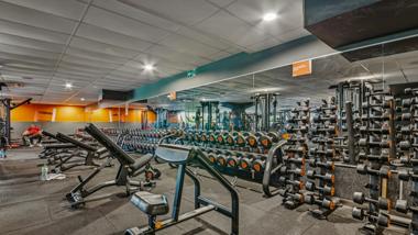 Basic-Fit Annemasse Rue Germain Sommeiller