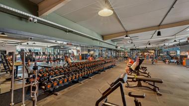 Basic-Fit Montayral Rue du Fossal