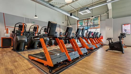 Basic-Fit Bessoncourt Rue du Sarr&eacute; 24/7