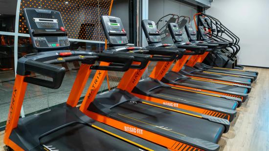 Avenida de los Cipreses s/n