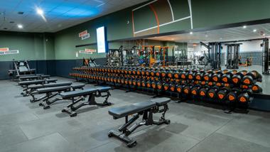 Avenida de los Cipreses s/n