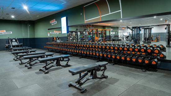 Avenida de los Cipreses s/n