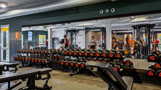 Basic-Fit Petit-Couronne Rue de la Mare Sansoure