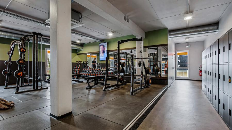 Basic-Fit Petit-Couronne Rue de la Mare Sansoure 24/7