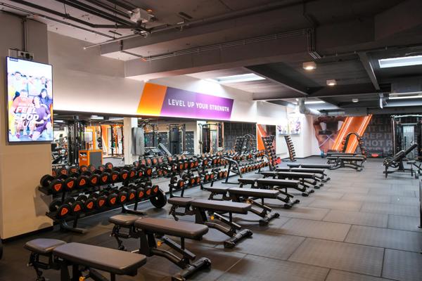 level up your strength zone basic-fit